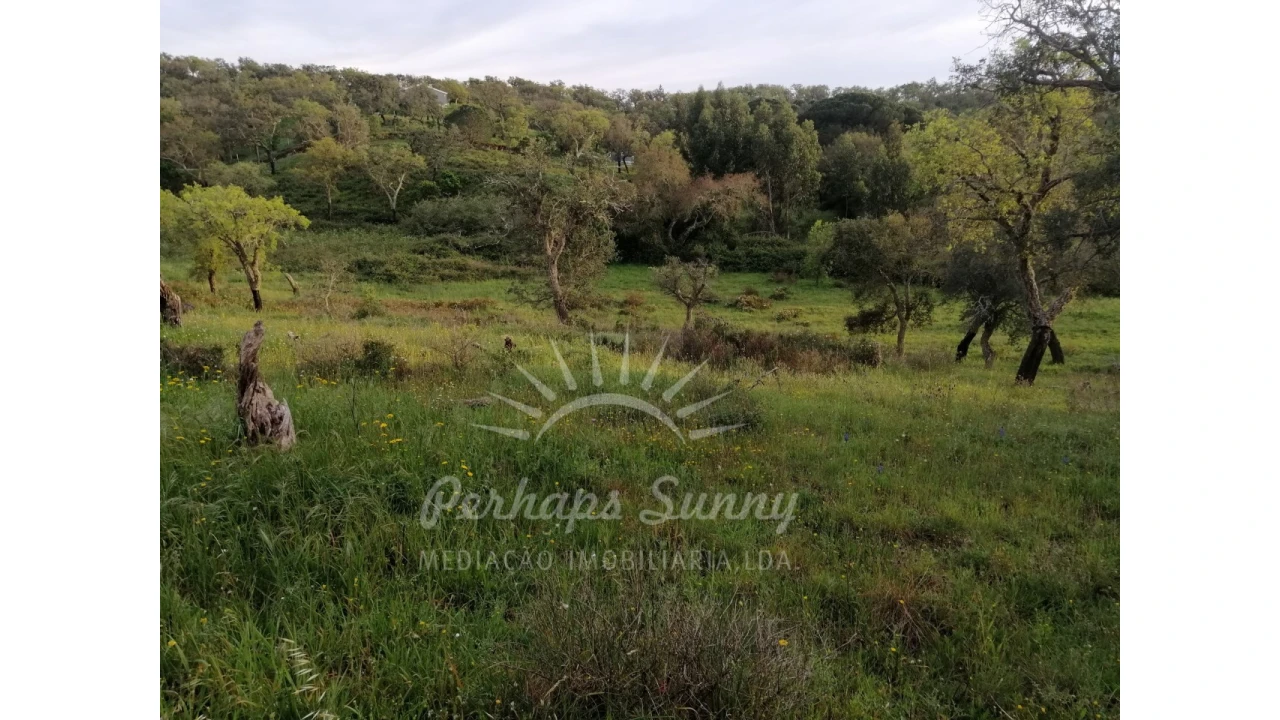 Terreno Misto para Venda em Grândola e Santa Margarida da Serra Foto 12