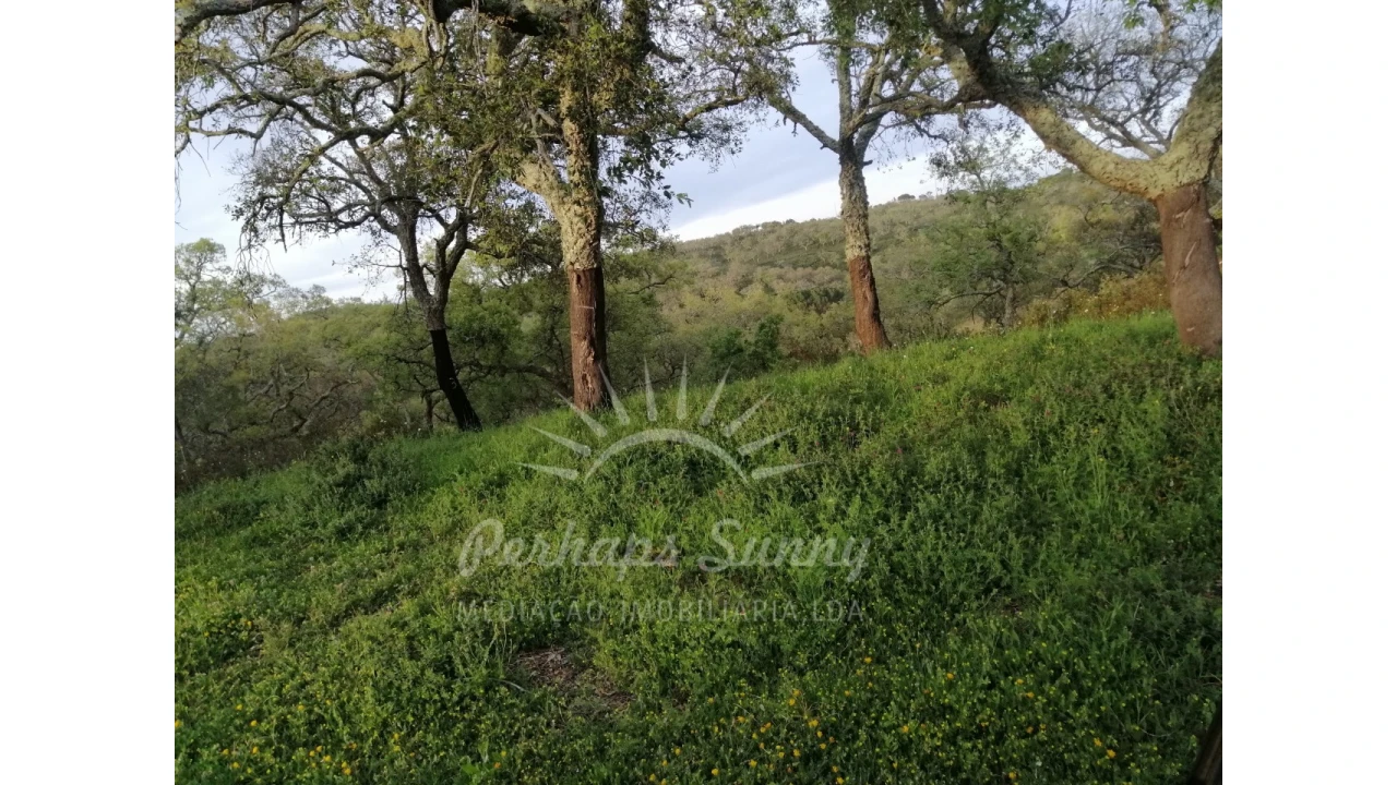 Terreno Misto para Venda em Grândola e Santa Margarida da Serra Foto 13