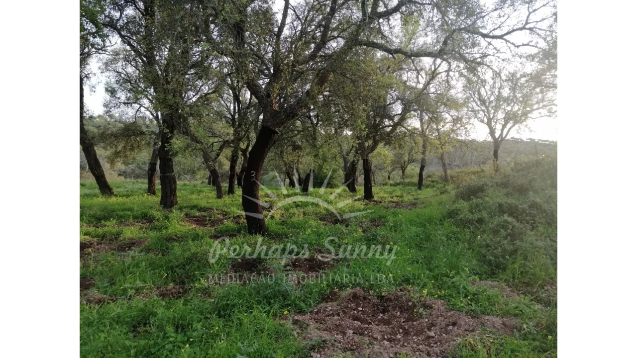 Terreno Misto para Venda em Grândola e Santa Margarida da Serra Foto 15