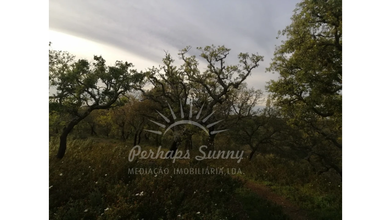 Terreno Misto para Venda em Grândola e Santa Margarida da Serra Foto 16