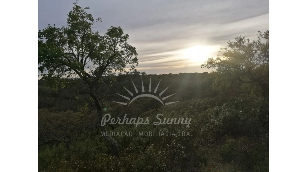 Terreno Misto para Venda em Grândola e Santa Margarida da Serra Foto 18