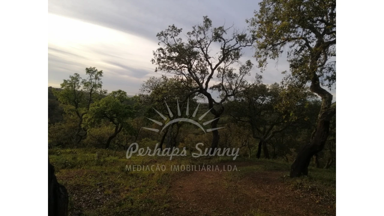 Terreno Misto para Venda em Grândola e Santa Margarida da Serra Foto 20