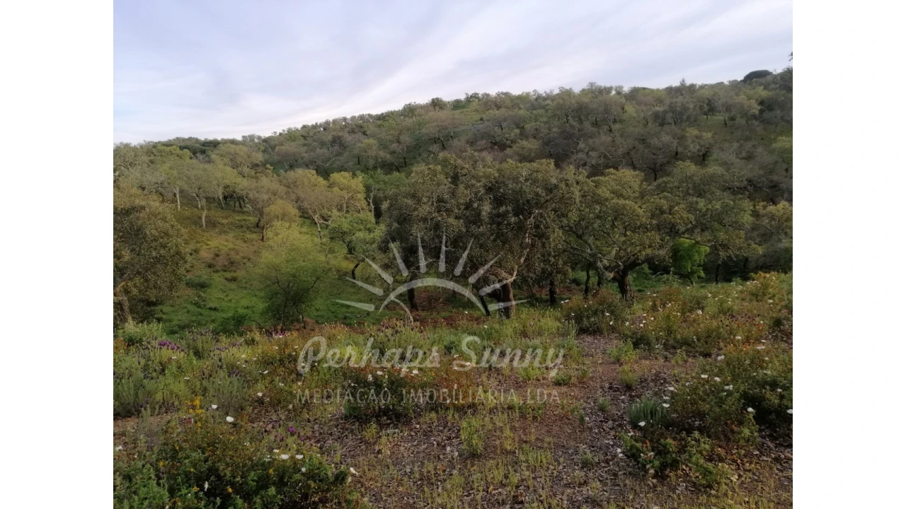 Terreno Misto para Venda em Grândola e Santa Margarida da Serra Foto 22