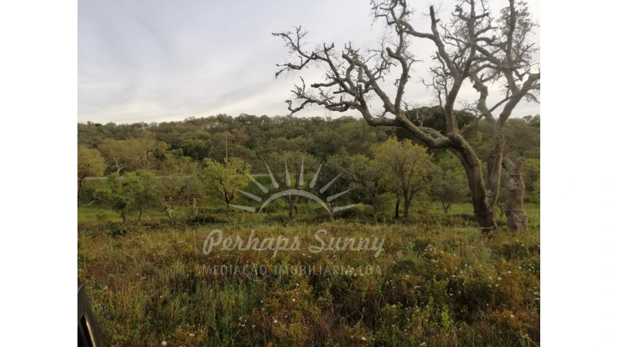 Terreno Misto para Venda em Grândola e Santa Margarida da Serra Foto 9