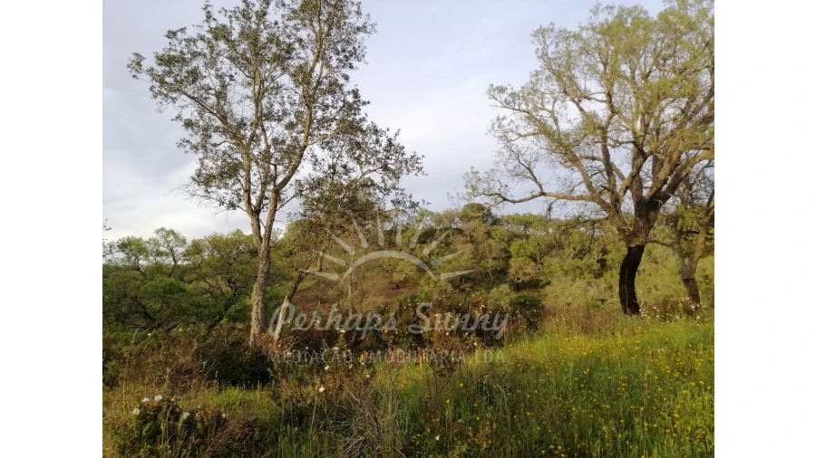 Terreno Misto para Venda em Grândola e Santa Margarida da Serra Foto 10