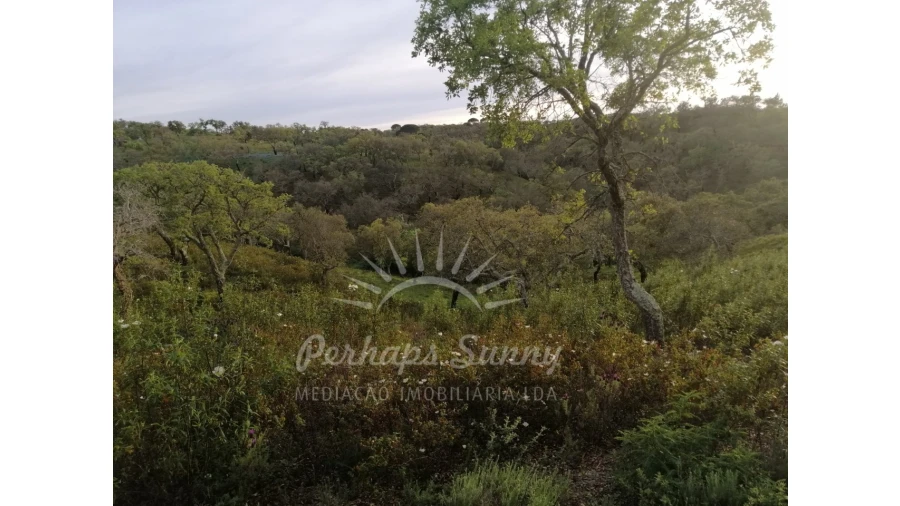 Terreno Misto para Venda em Grândola e Santa Margarida da Serra Foto 17
