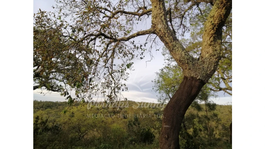 Terreno Misto para Venda em Grândola e Santa Margarida da Serra Foto 19