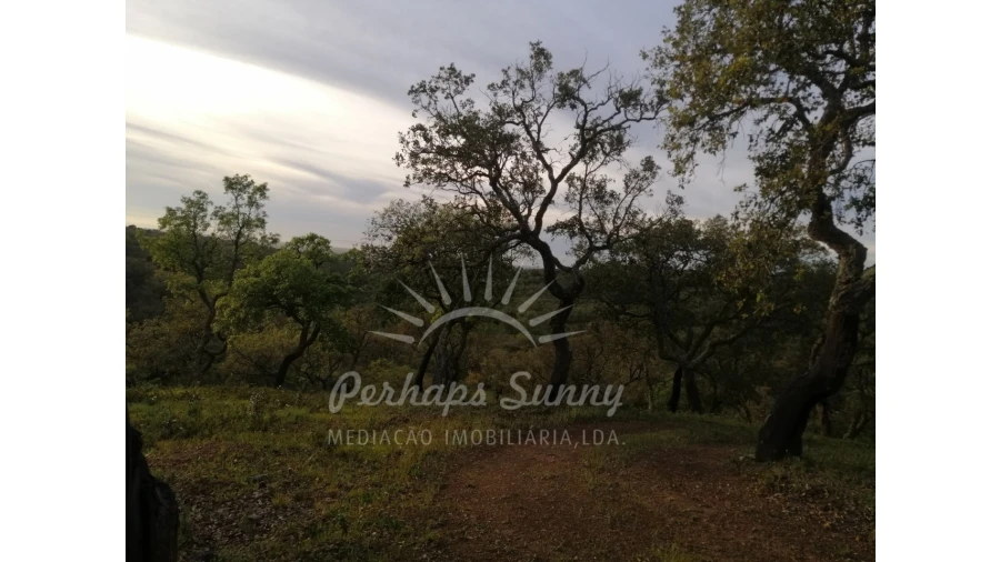 Terreno Misto para Venda em Grândola e Santa Margarida da Serra Foto 20