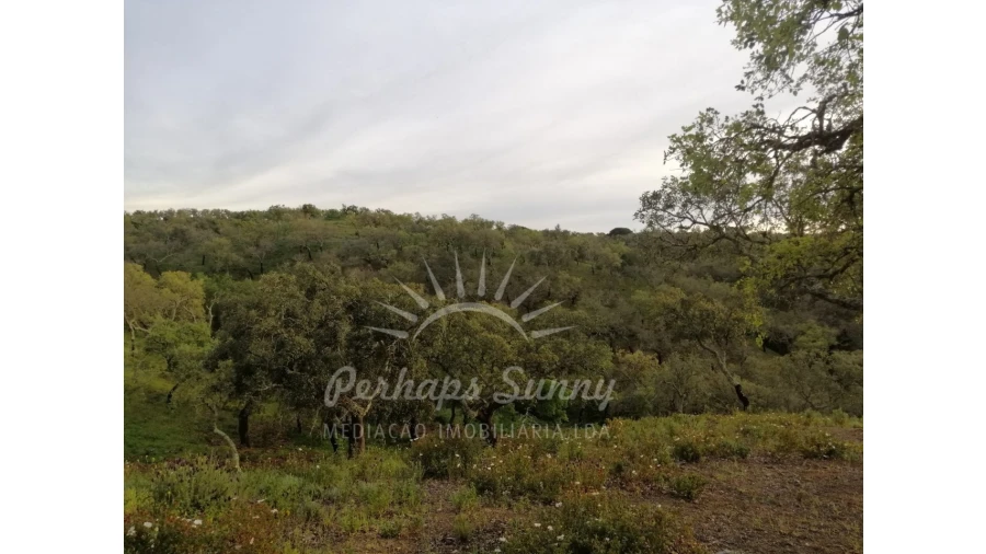 Terreno Misto para Venda em Grândola e Santa Margarida da Serra Foto 21