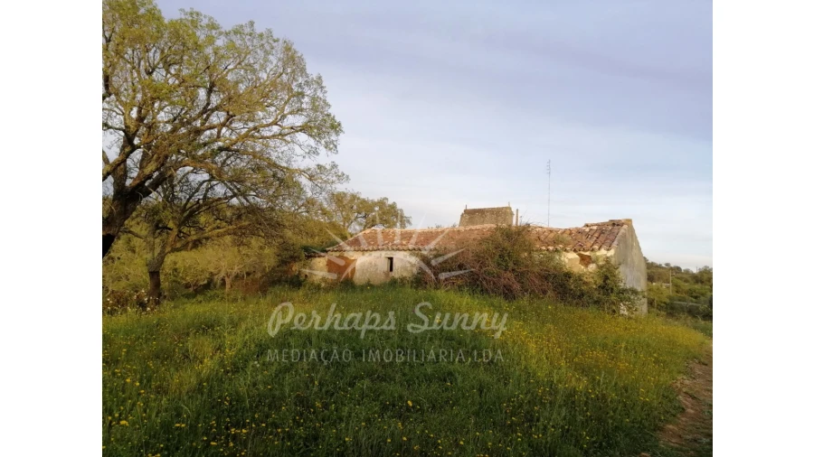 Terreno Misto para Venda em Grândola e Santa Margarida da Serra Foto 23