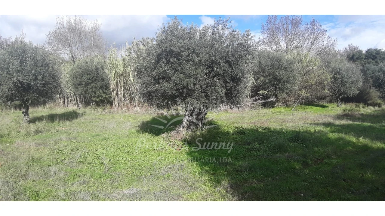 Terreno Misto para Venda em Grândola e Santa Margarida da Serra Foto 7