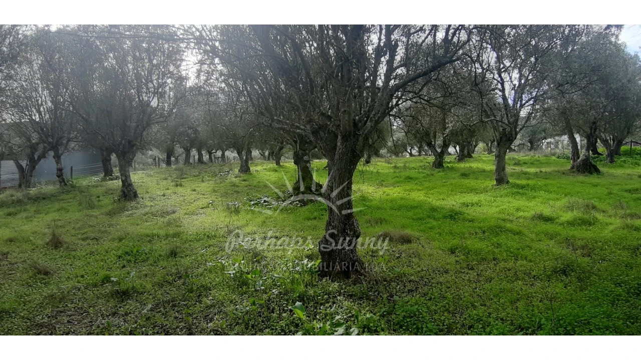 Terreno Misto para Venda em Grândola e Santa Margarida da Serra Foto 5