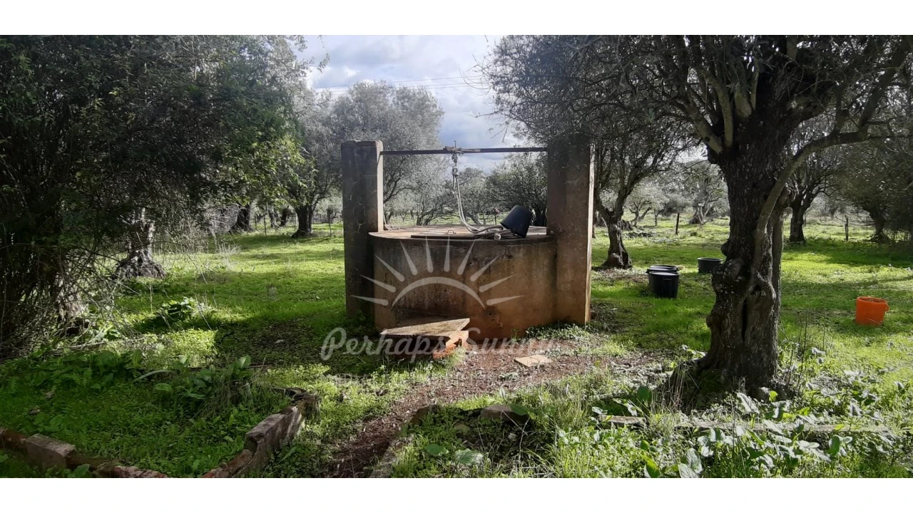 Terreno Misto para Venda em Grândola e Santa Margarida da Serra Foto 3