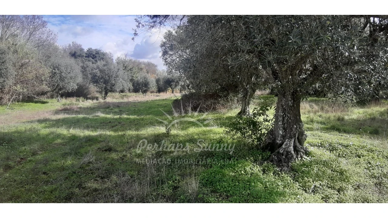 Terreno Misto para Venda em Grândola e Santa Margarida da Serra Foto 14