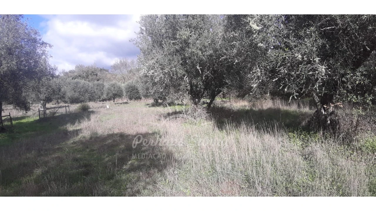 Terreno Misto para Venda em Grândola e Santa Margarida da Serra Foto 15