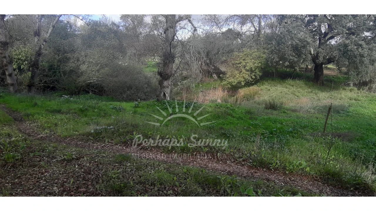 Terreno Misto para Venda em Grândola e Santa Margarida da Serra Foto 20