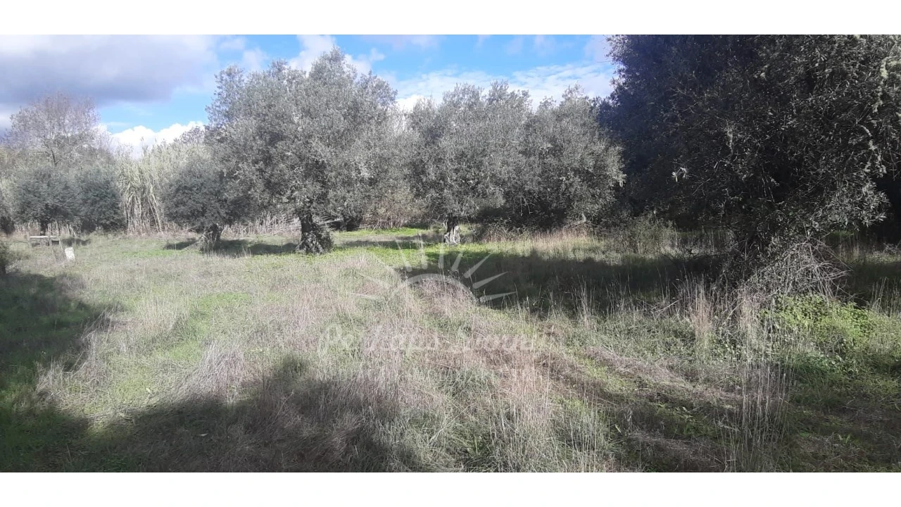 Terreno Misto para Venda em Grândola e Santa Margarida da Serra Foto 21