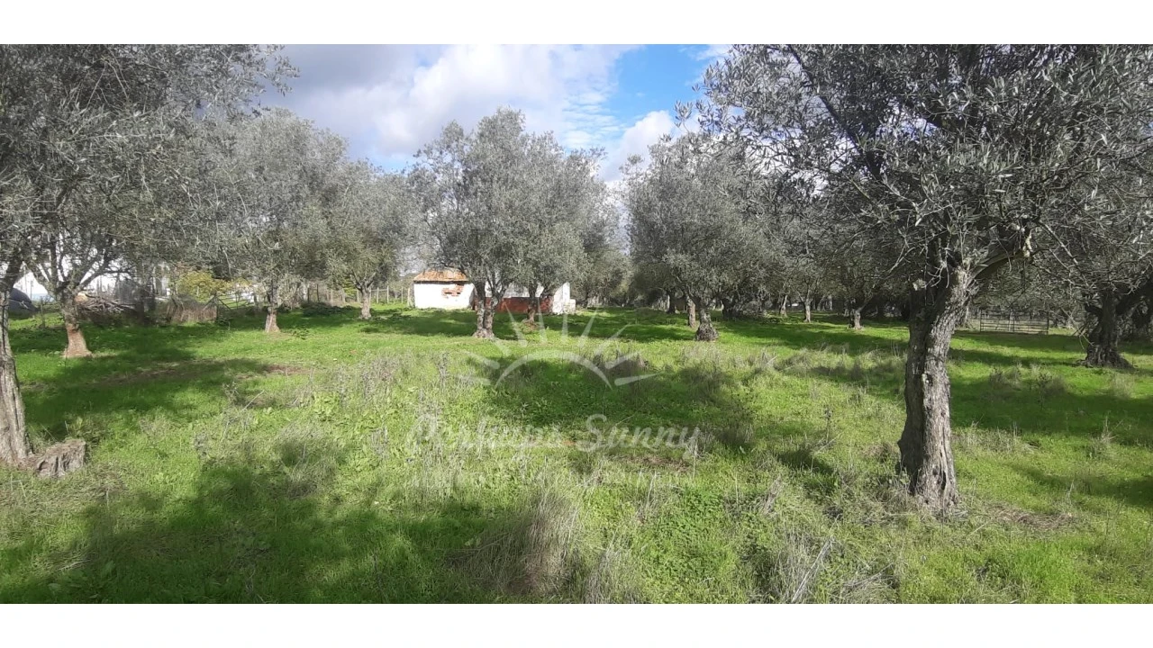 Terreno Misto para Venda em Grândola e Santa Margarida da Serra Foto 22