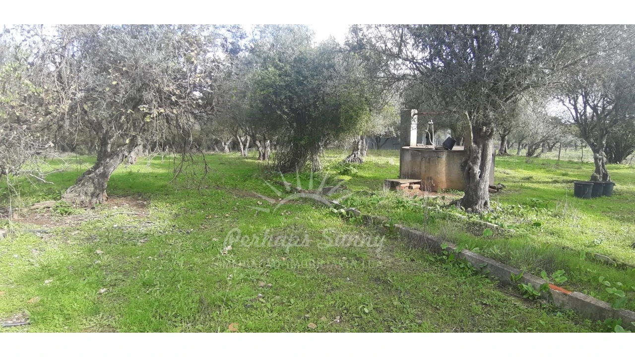 Terreno Misto para Venda em Grândola e Santa Margarida da Serra Foto 29