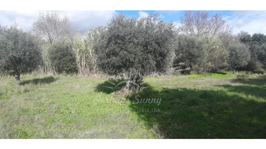 Terreno Misto para Venda em Grândola e Santa Margarida da Serra Foto 7