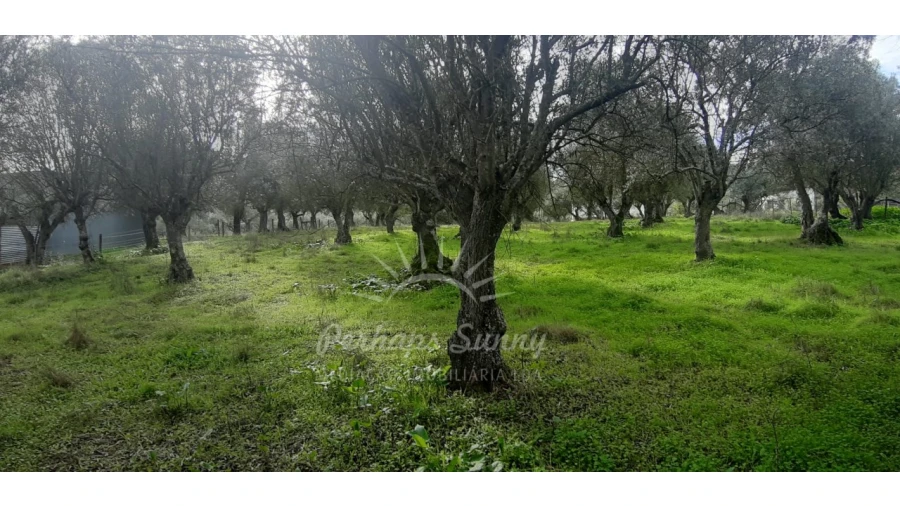 Terreno Misto para Venda em Grândola e Santa Margarida da Serra Foto 5