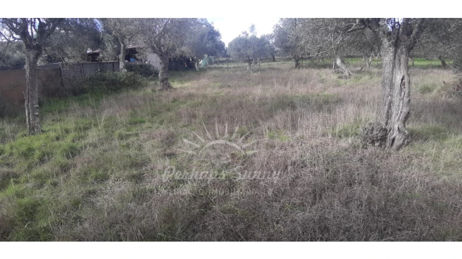Terreno Misto para Venda em Grândola e Santa Margarida da Serra Foto 10
