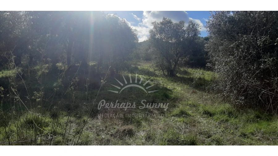 Terreno Misto para Venda em Grândola e Santa Margarida da Serra Foto 11