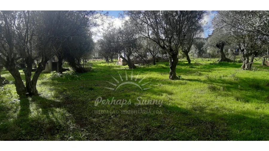 Terreno Misto para Venda em Grândola e Santa Margarida da Serra Foto 6
