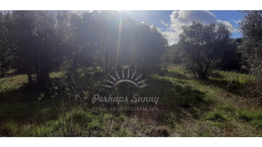 Terreno Misto para Venda em Grândola e Santa Margarida da Serra Foto 18