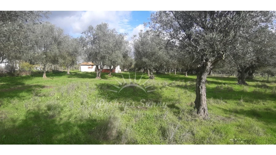 Terreno Misto para Venda em Grândola e Santa Margarida da Serra Foto 19