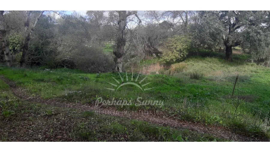 Terreno Misto para Venda em Grândola e Santa Margarida da Serra Foto 20