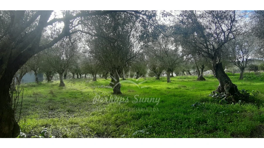Terreno Misto para Venda em Grândola e Santa Margarida da Serra Foto 27
