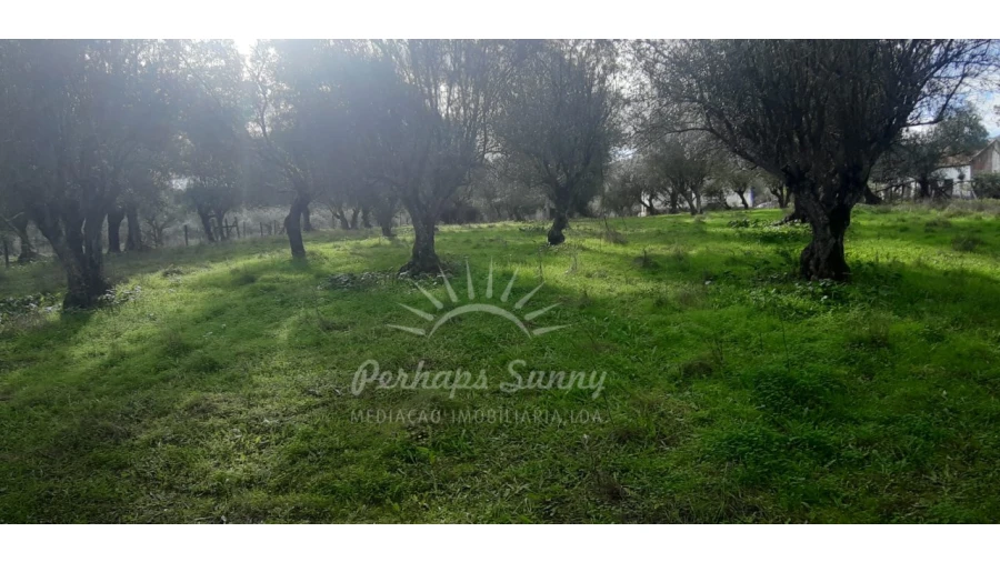 Terreno Misto para Venda em Grândola e Santa Margarida da Serra Foto 28