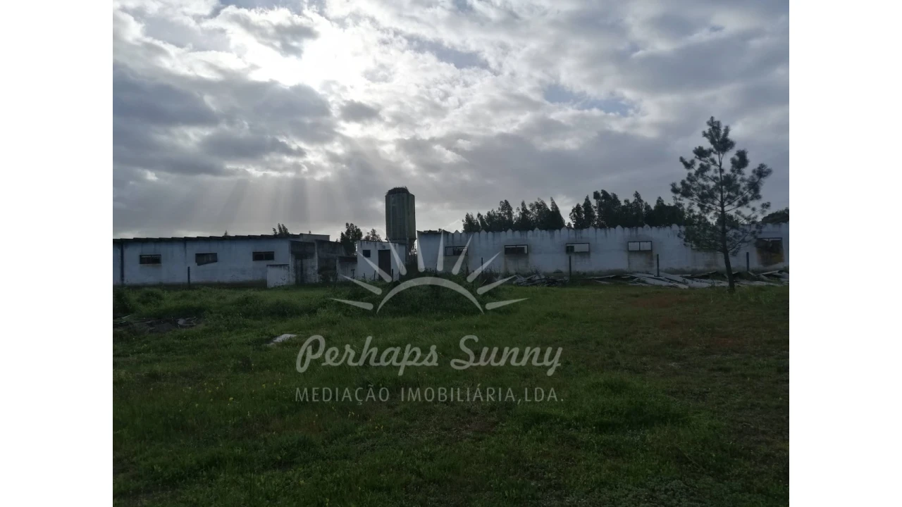 Quinta T2 para Venda em Grândola e Santa Margarida da Serra Foto 11