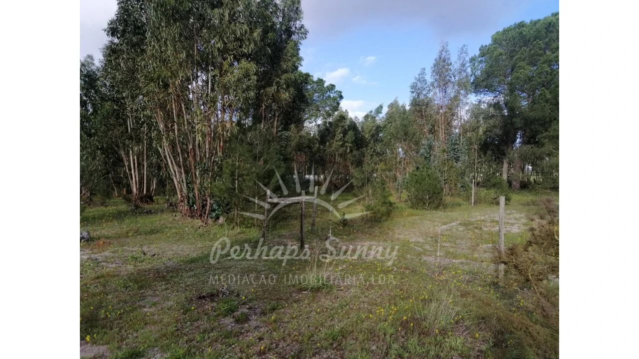 Quinta T2 para Venda em Grândola e Santa Margarida da Serra Foto 17