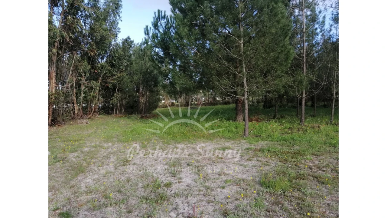 Quinta T2 para Venda em Grândola e Santa Margarida da Serra Foto 5