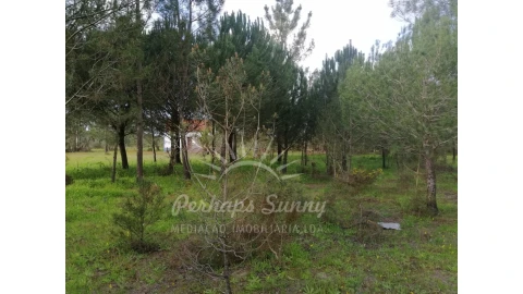 Quinta T2 para Venda em Grândola e Santa Margarida da Serra