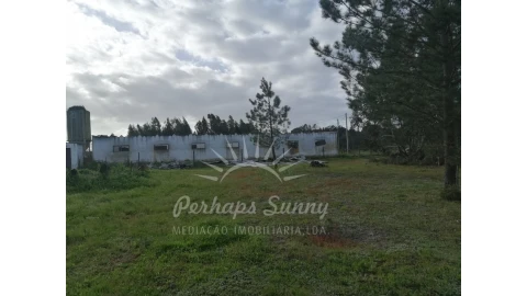 Quinta T2 para Venda em Grândola e Santa Margarida da Serra