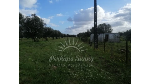 Quinta T2 para Venda em Grândola e Santa Margarida da Serra