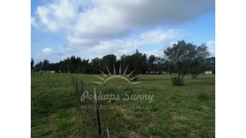 Quinta T2 para Venda em Grândola e Santa Margarida da Serra
