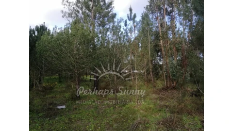 Quinta T2 para Venda em Grândola e Santa Margarida da Serra