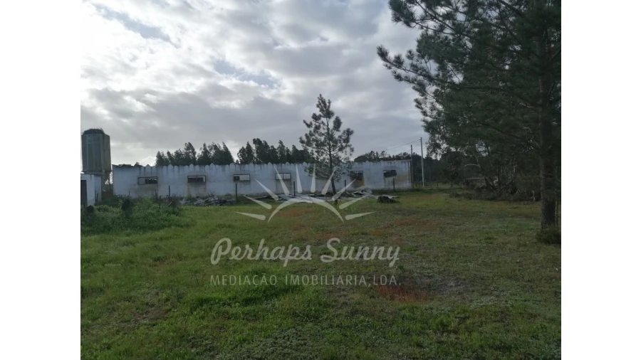Quinta T2 para Venda em Grândola e Santa Margarida da Serra Foto 10