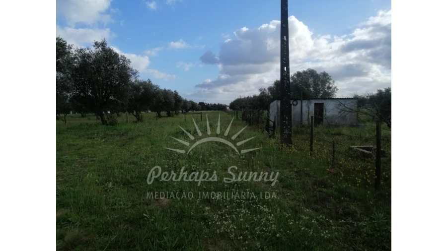 Quinta T2 para Venda em Grândola e Santa Margarida da Serra Foto 12
