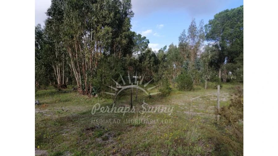Quinta T2 para Venda em Grândola e Santa Margarida da Serra Foto 17