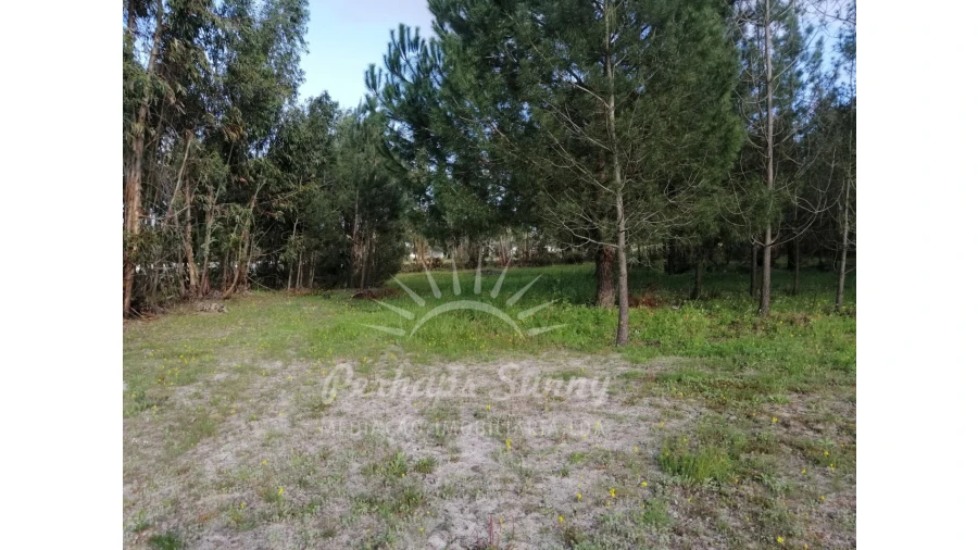 Quinta T2 para Venda em Grândola e Santa Margarida da Serra Foto 5