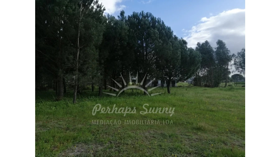 Quinta T2 para Venda em Grândola e Santa Margarida da Serra Foto 20