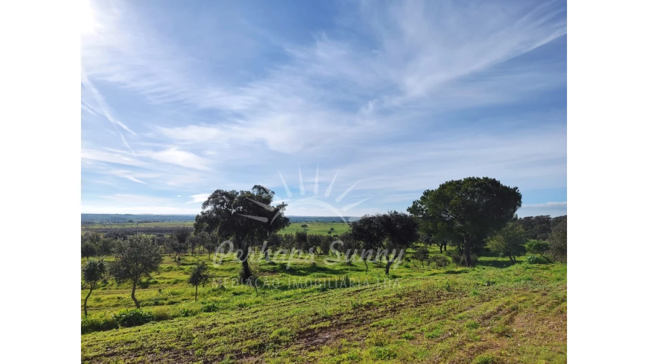 Terreno para Venda em Azinheira dos Barros e São Mamede do Sádão Foto 7
