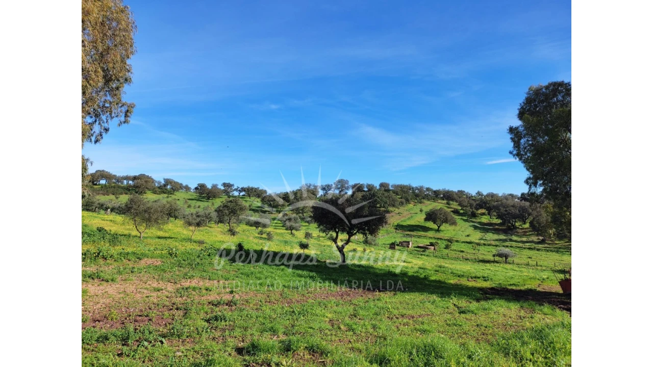 Terreno para Venda em Azinheira dos Barros e São Mamede do Sádão Foto 9