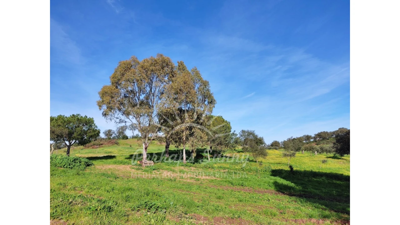 Terreno para Venda em Azinheira dos Barros e São Mamede do Sádão Foto 10