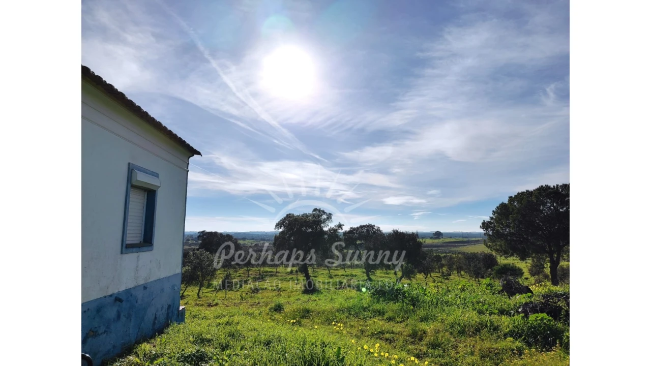 Terreno para Venda em Azinheira dos Barros e São Mamede do Sádão Foto 11